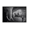 quadro_decorativo_familia_de_elefante_preto_e_branco_anm005_21_2_2a5ceeae0598b9529df05892dd4f2653