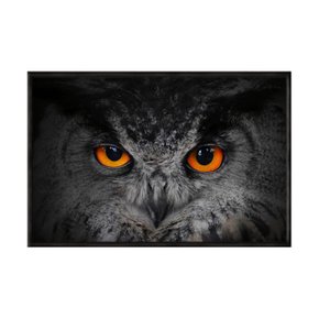 quadro_decorativo_coruja_preto_e_branco_detalhes_laranja_anm006_23_2_68d48cde640a22ad31f7ef81edca19f4