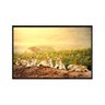 quadro_decorativo_familia_de_leoes_por_do_sol_anm008_29_2_ca7b6e932acd2eb38421b68f0a0f6ac7