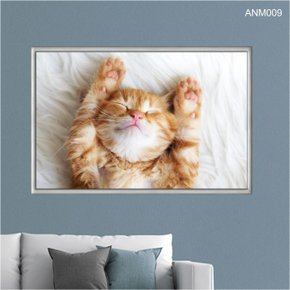 quadro_decorativo_gato_fofo_preguicoso_anm009_31_1_1625a3dced29fb942123a95510a6c1bf