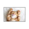 quadro_decorativo_gato_fofo_preguicoso_anm009_31_2_dd6f9aeab2a1c546d0420da95e448806