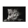 quadro_decorativo_casal_de_leoes_preto_e_branco_anm014_41_2_b8bf0eb36e0d1f9d1dcc1f58def3b031