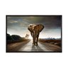 quadro_decorativo_elefante_na_estrada_anm016_45_2_77da09d43517c52491f61f3e7384972b
