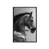 quadro_decorativo_cavalo_de_perfil_preto_e_branco_anm025_63_2_79040144bcd370e69464623deffd0053