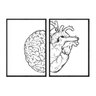 kit_02_quadros_decorativos_razao_x_emocao_cerebro_e_coracao_prf003_119_2_68cd7618612b0fa127f7fc72c183027b