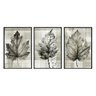 kit_03_quadros_decorativos_folhas_arvore_textura_classica_art044_317_2_0a66ad984a6403446331705bfd5c5790