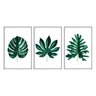 kit_03_quadros_decorativos_folhas_tropicais_verde_escuro_flnt007_377_2_74b8515091a081eedfe7c7fb0e0a1239