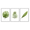 kit_03_quadros_decorativos_folhas_tropicais_verde_claro_flnt008_379_2_d33b00ee1487078f5ae446f3757128d5