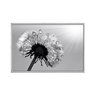 quadro_decorativo_dente_de_leao_preto_e_branco_flnt015_393_2_e8e5aa8703d1863325a24b48002ce156
