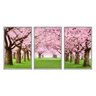 kit_03_quadros_decorativos_cerejeiras_rosas_no_parque_flnt020k_407_2_067d01f9348f4a532b37978fbcb0f767