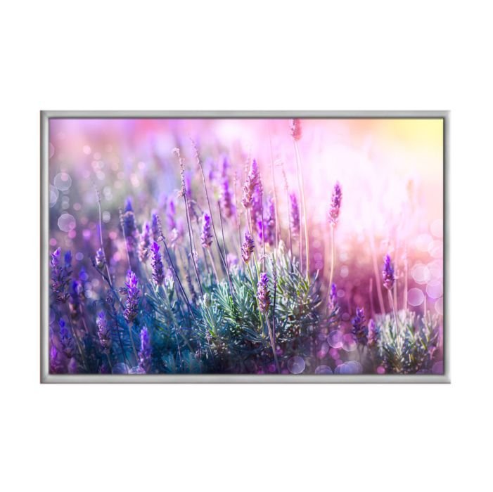 Quadro Decorativo - Campo Com Flores De Lavanda Flnt025