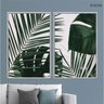 kit_02_quadros_decorativos_folhas_de_palmeira_tropical_branca_e_verde_flnt029k_429_1_909ed4abecc5bce5ba26055ca3beeb65