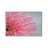 quadro_decorativo_flor_gerbera_rosa_detalhe_macro_flnt033_441_2_6809224f9bd9fd941b788ad11c501b78
