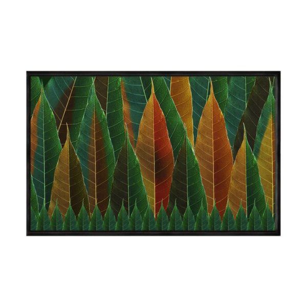 quadro_decorativo_natureza_colorida_flnt046_469_2_abbbcd9e84a644be3e30c586c0477d98