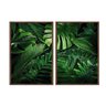 kit_02_quadros_decorativos_folhas_tropicais_verde_intenso_flnt047_471_2_7d24f9de424799cb70b13e6f4af564f6