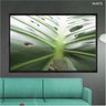 quadro_decorativo_zoom_folha_costela_adao_monstera_flnt072_521_1_21df61065181fc7d995cac0adbf8f11c