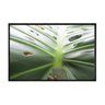 quadro_decorativo_zoom_folha_costela_adao_monstera_flnt072_521_2_8670d1599659c45f953cc56201f36820