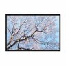 quadro_decorativo_flores_cerejeiras_ceu_azul_flnt099_1893_2_6c1788ab48482c0e3856b4376b1ea5c3