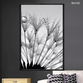 quadro_decorativo_dente_de_leao_orvalho_pb_flnt100_1895_1_23d3d77075ff9db4e59a67c353961704